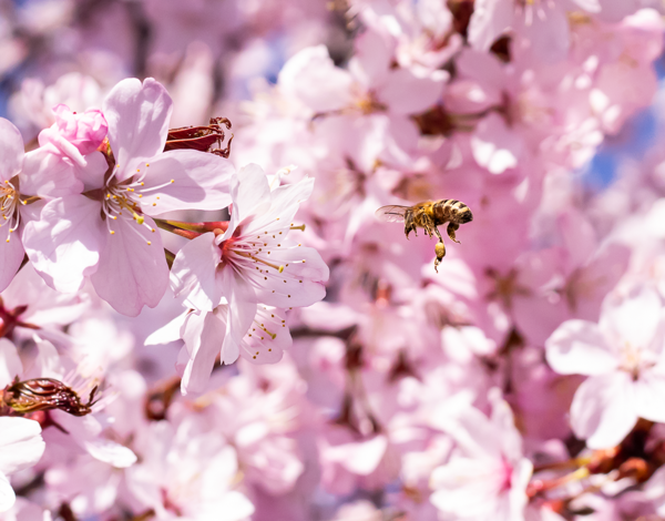 April